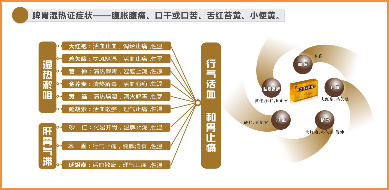 金胃泰网页1.jpg